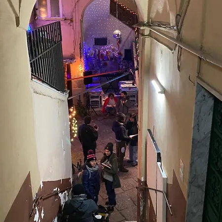 The Paradise House *