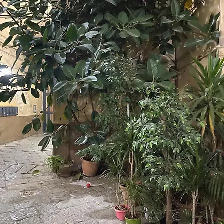 The Paradise House *