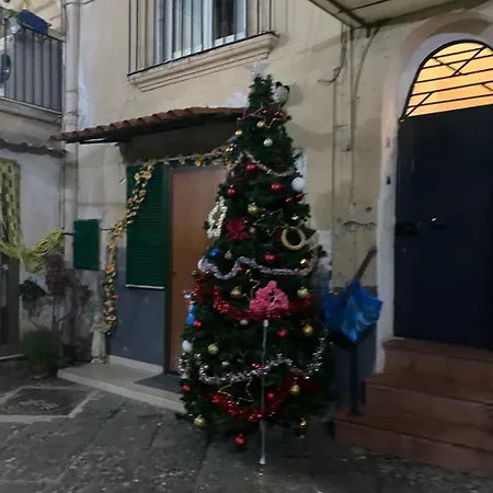 The Paradise House Apartment *