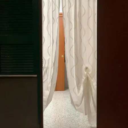 The Paradise House *